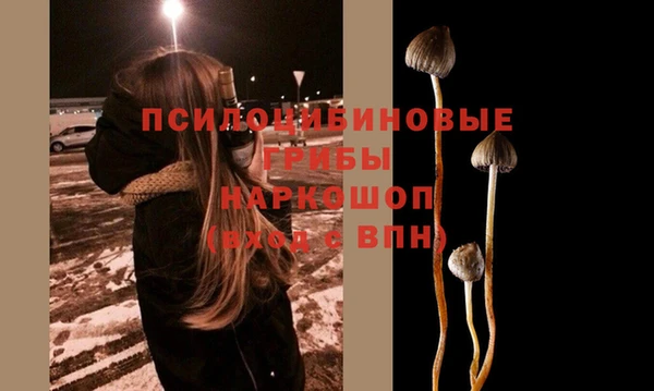 метадон Арсеньев