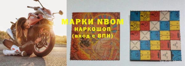 прущие грибы Армянск