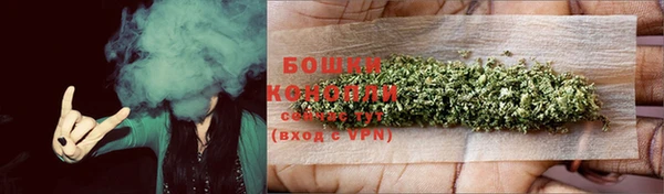 прущие грибы Армянск