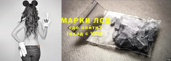 прущие грибы Армянск