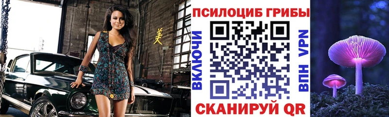 Галлюциногенные грибы Psilocybe Луга